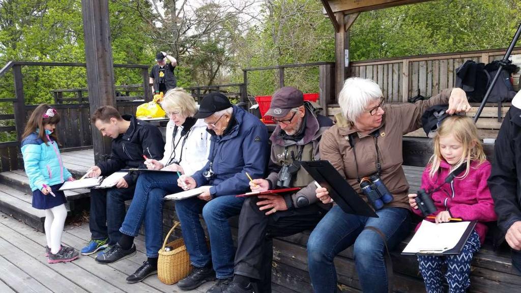 KäX Lundåkrabukten. Årets Fågeltornskamp startade övervägande molnigt och något så ovanligt som ett kav lugnt Öresund.