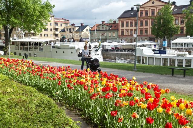 Prioriterade frågor inom fyra områden Hur närhet, kvalitet och utbud bidrar till livskvalitet och till att