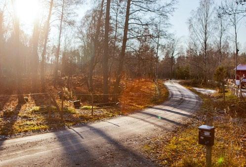 Det finns många entreprenörer som vill driva små företag utifrån landsbygdens möjligheter. En speciell företeelse med potential är önskan att kunna bo och utöva sitt hästintresse 3.