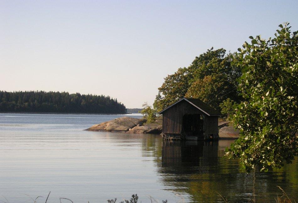 Syftet är att skapa en långsiktig planeringsstrategi i samband med att kommunalt vatten och avlopp byggs ut.