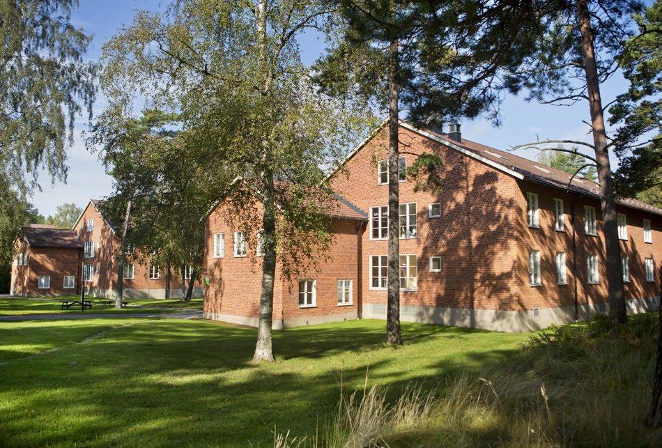 sex nationella program, samt åtta av tolv yrkesprogram. Vid sidan av dessa erbjuds även en rad introduktionsprogram för elever som inte har nått grundskolans kunskapskrav.