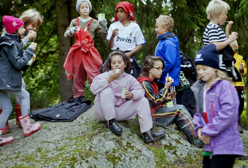 Strategier riksintressen för kulturmiljövård I områden för riksintresse för kulturmiljövård där fördjupade kulturmiljöanalyser finns ska dessa analyser ligga till grund för tillståndsgivning, planer