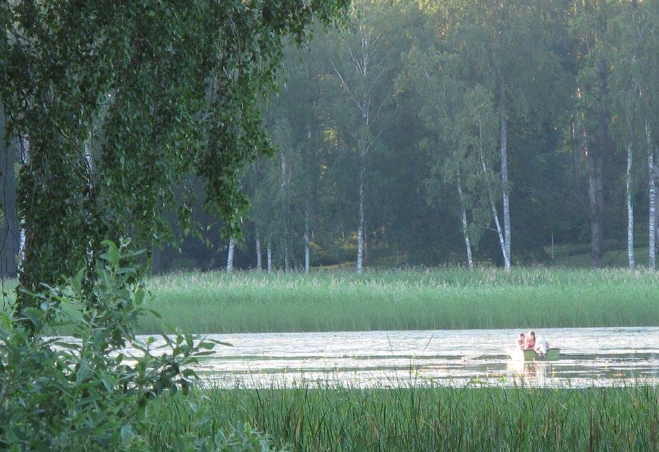 Strategier miljöstörda land och vattenområden Norrtälje kommun ska vid bland annat tillsyn, tillståndsprövning och planering se till att de miljökvalitetsnormer som finns för