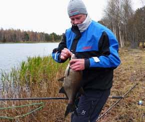 ungefär 10-15 centimeter från kroken.