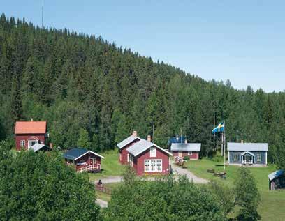 I väster finns Borgafjällen ett expansivt område som lockar många besökare från när och fjärran. Vid Bergvattensjön ligger vackra Dorotea.