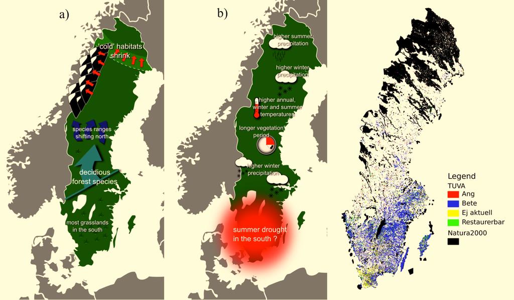 a) b) c) Figur 1 (a) Sammanställning av förutsagda generella biologiska förändringar, det vill säga minskade utbredningsområden för köldanpassade arter och spridning av många arter norrut.