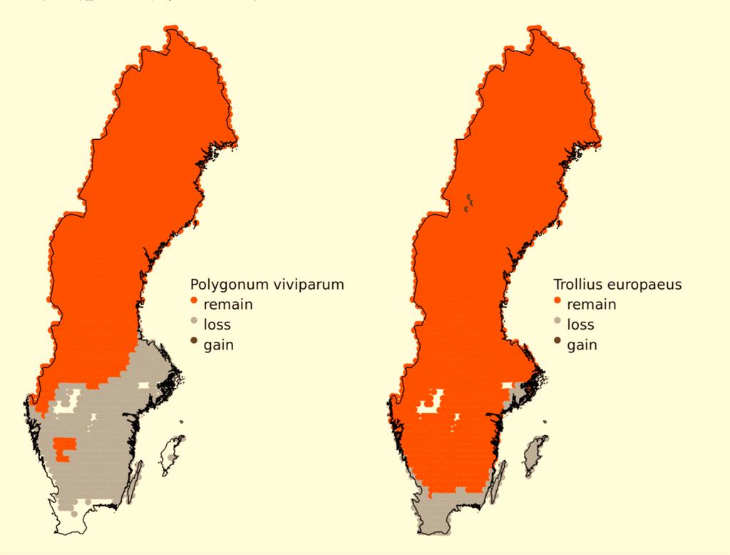 Figur 9 Exempel på två ej hotade kärlväxter, a) ormrot (Polygonum viviparum) och b) smörboll (Trollius europaeus) som för närvarade