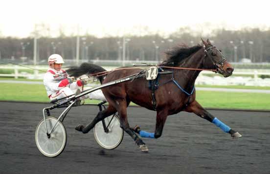 SOLVALLA DISTANS TRIO TVILLING KIMBEE DREAM 0: *, M, AM 00,svbr. v.