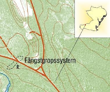 12 Resultat Väderförhållandena under svampsäsongen 2007 har varit de sämsta tänkbara för att aktivera svampmycel att bilda fruktkroppar, vilket även återspeglar sig i rapporterna från de besökta