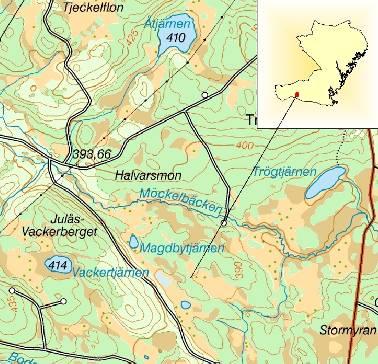 13 År 2007 fanns överhuvudtaget inga Sarcodon-arter på heden. Inte heller andra marksvampar.