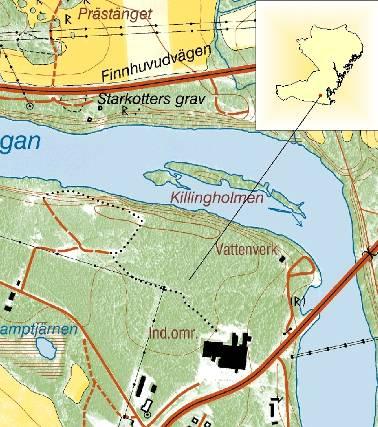 17 Flora och funga Markvegetationen är typisk för tallmoar med inslag av kalk. Här och var finns även bestånd av gamla granar, liksom div. lövträd.