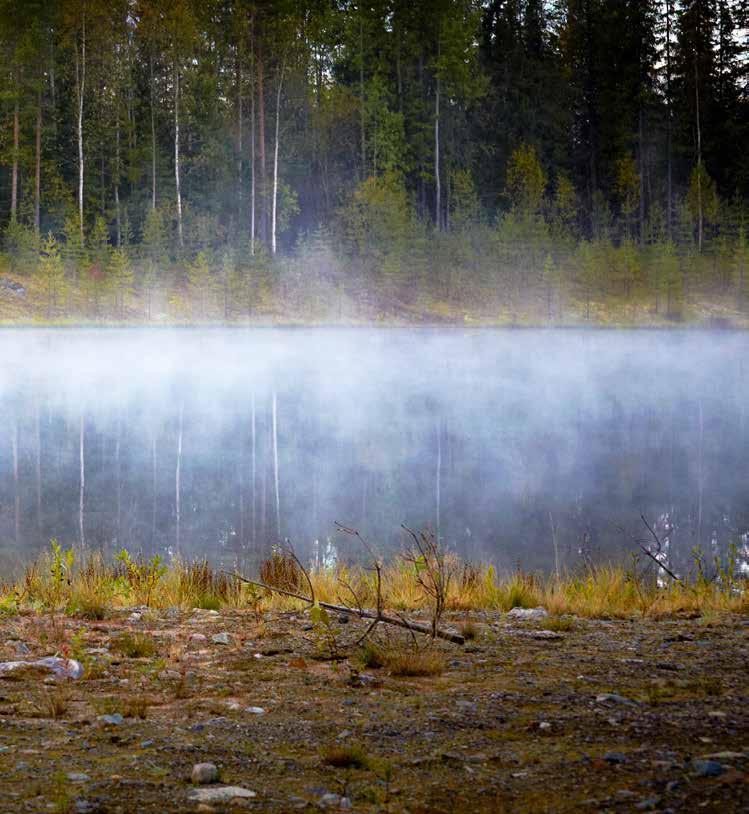 Redan vid planeringen av en ny gruva fastställs hur området ska återställas, så att det åter blir en del av landskapet.
