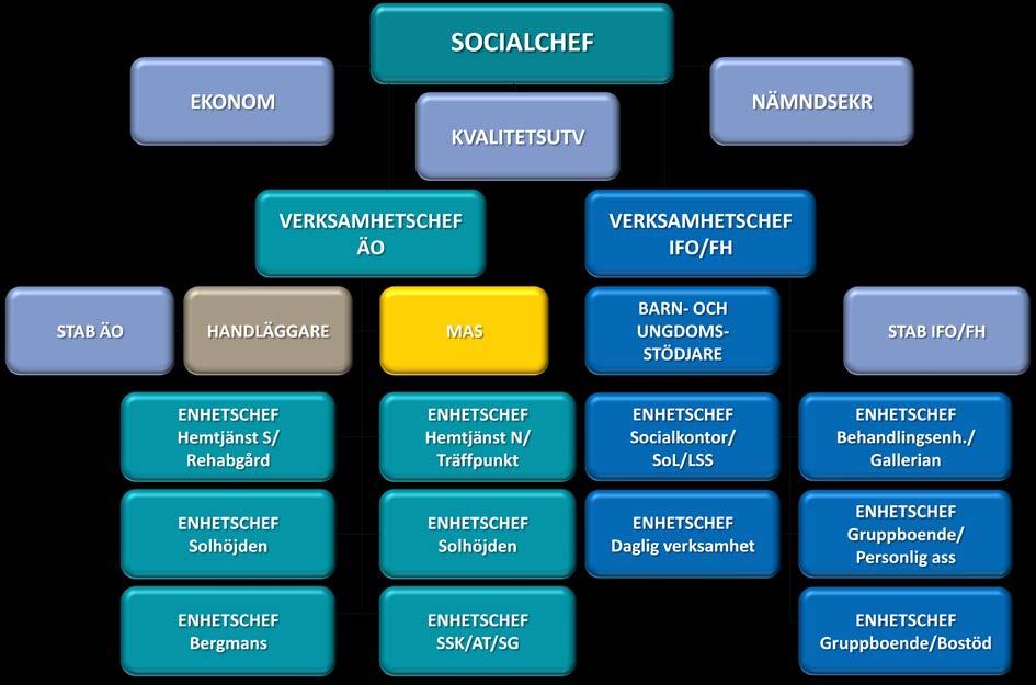 4.3 Organisationsform 4.