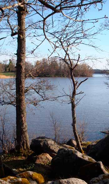 Knivsta ÖVERSIKTSPLAN 2035 med utblick mot 2050 33 Lagskyddade områden Ungefär 4% av kommunens totala areal skyddade av tre typer av områden: naturreservat, Natura 2000 och biotopskydd.