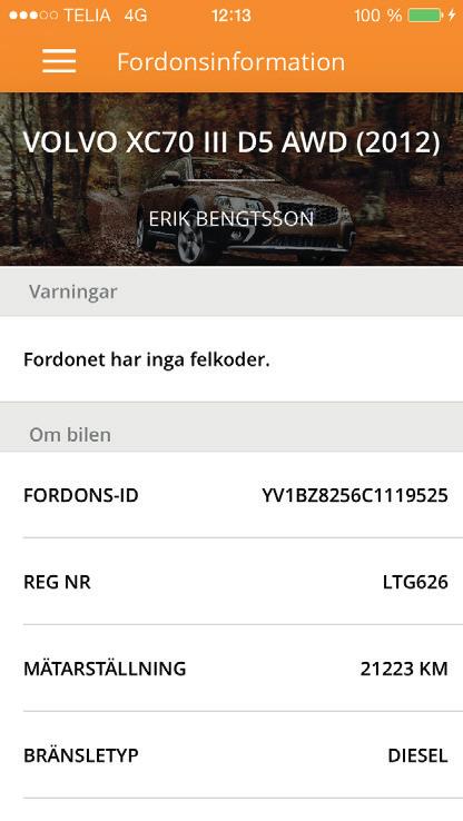 Varningar Om fordonet har felkoder som Easyroad hittat visas dessa här.