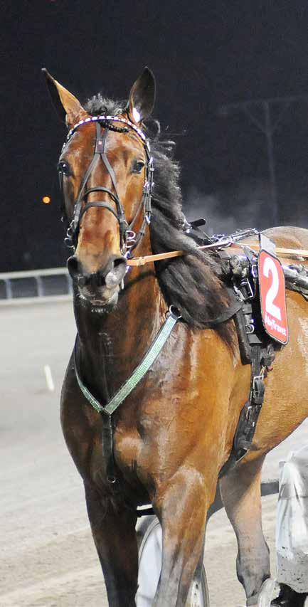 HalmstadTravet Måndag december Första start kl.