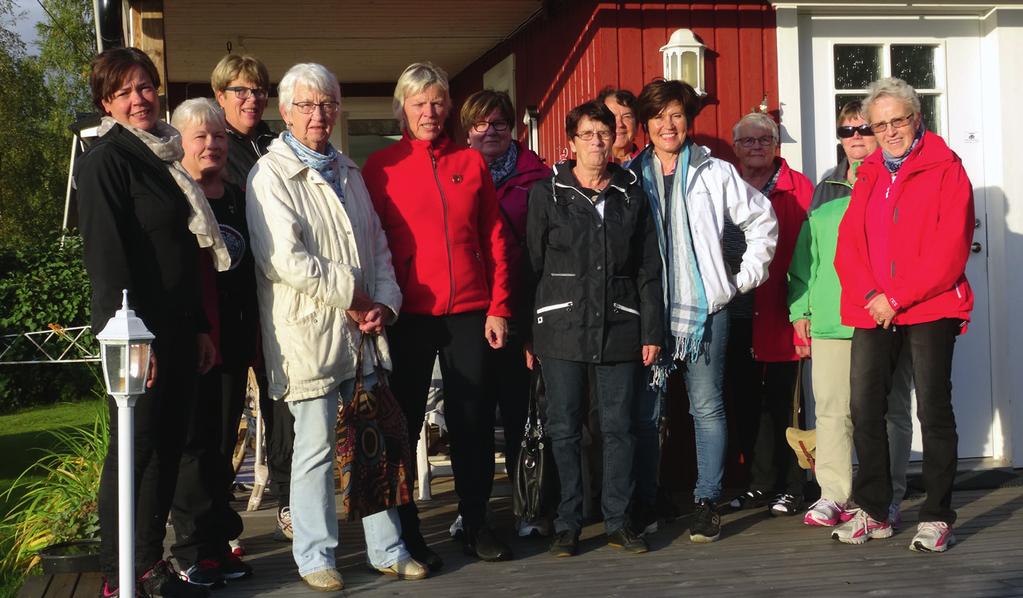 Nykarleby Lions och dra vårt strå till stacken.