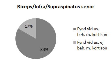 Figur 6. Sammanfattning av vilka olika senor och ligament som undersökts vid UDS under fallstudiens period.