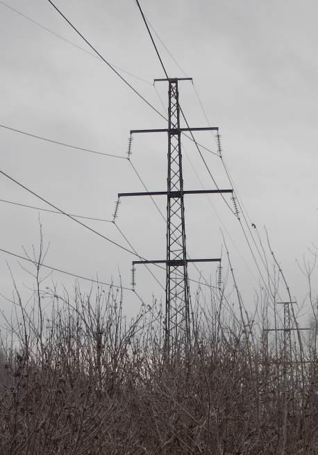 På sträckan mellan Korsta och Ortviken är befintlig ledning idag sambyggd med ledning L23 i gemensamma stålstolpar (flera olika utföranden) enligt Figur 4 