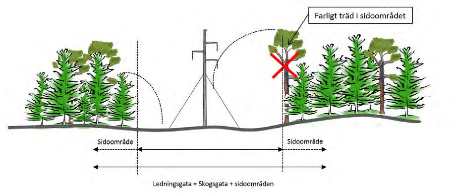 4.2 Förordad utformning 4.2.1 Trädsäker luftledning Att en luftledning är trädsäker innebär att det inte finns några träd som vid storm eller oväder riskerar att falla på och skada ledningen.