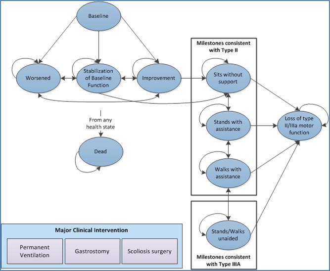 Figur 6 Hälsostadier SMA I Modellstruktur SMA II Företaget använder fas 3-studien CHERISH.