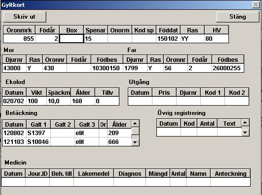 8 Gyltkort Ett gyltkort har tillkommit under Avelsdjur (se bild nedan). Där sammanställs de uppgifter som registrerats om djuret under menyn Avelsdjur. Det går inte att registrera något på gyltkortet.