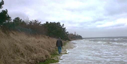 ~ 5 ~ De historiska bosättningsmönstren i Skåne visar att befolkningen sedan urminnes tider främst har bosatt sig i kustnära områden.