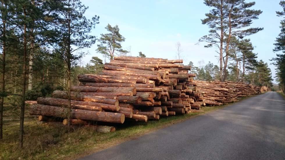 ~ 67 ~ Figur 36: Avverkning i de föreslagna anpassningsytorna för sandtallskog lyfter frågan vad reserverad mark för klimatanpassning innebär.