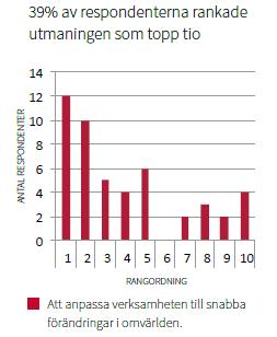 Förmåga till anpassning Företagets processer