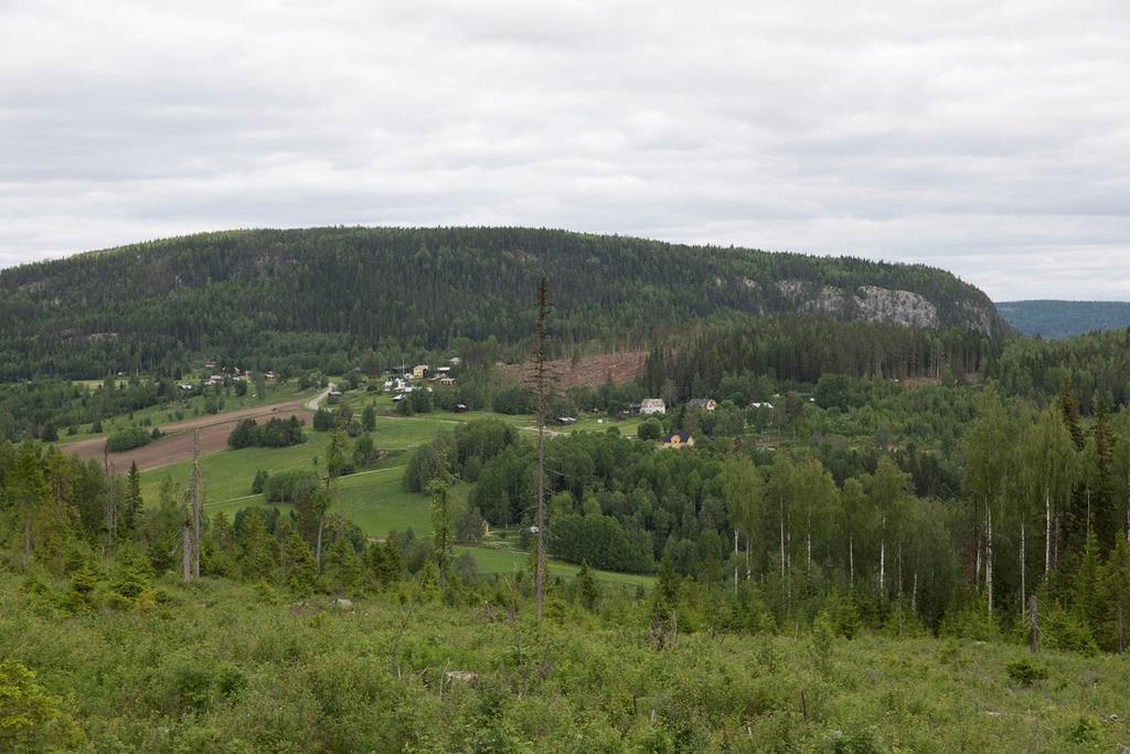 utredningsområdet.