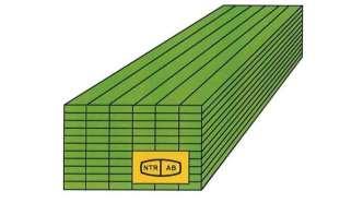 12 AB Tryckträ Detta virke är impregnerat enligt NTR Dokument Nr 1, del 1, och EN 351-1 och kvalitetskontrollerat enligt NTR Dokument Nr 3, del 1.