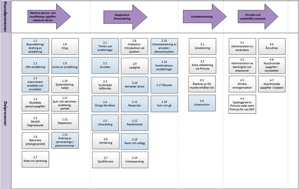 Anpassat processdokument