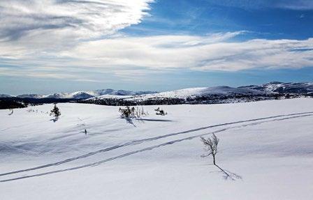 Varför just Edsåsdalen?