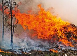Västmanland, juli/augusti 2014 14000 hektar brann En person dog 1000 personer evakuerade Värden för hundratals