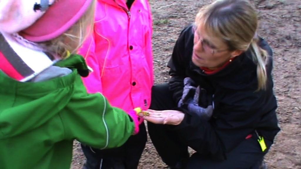 Bild 5. Former hos löv Fastän det var en spontan situation, verkar förskolläraren ha ett klart pedagogiskt syfte.