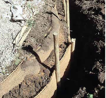 ÅTGÄRDER VID BEFINTLIGA TRÄD Schakt och beskärning av rötter När schakt måste utföras inom rotzonen där ytliga rötter, täta rotmattor och grova rötter kan förekomma, minimeras rotskador med hjälp av