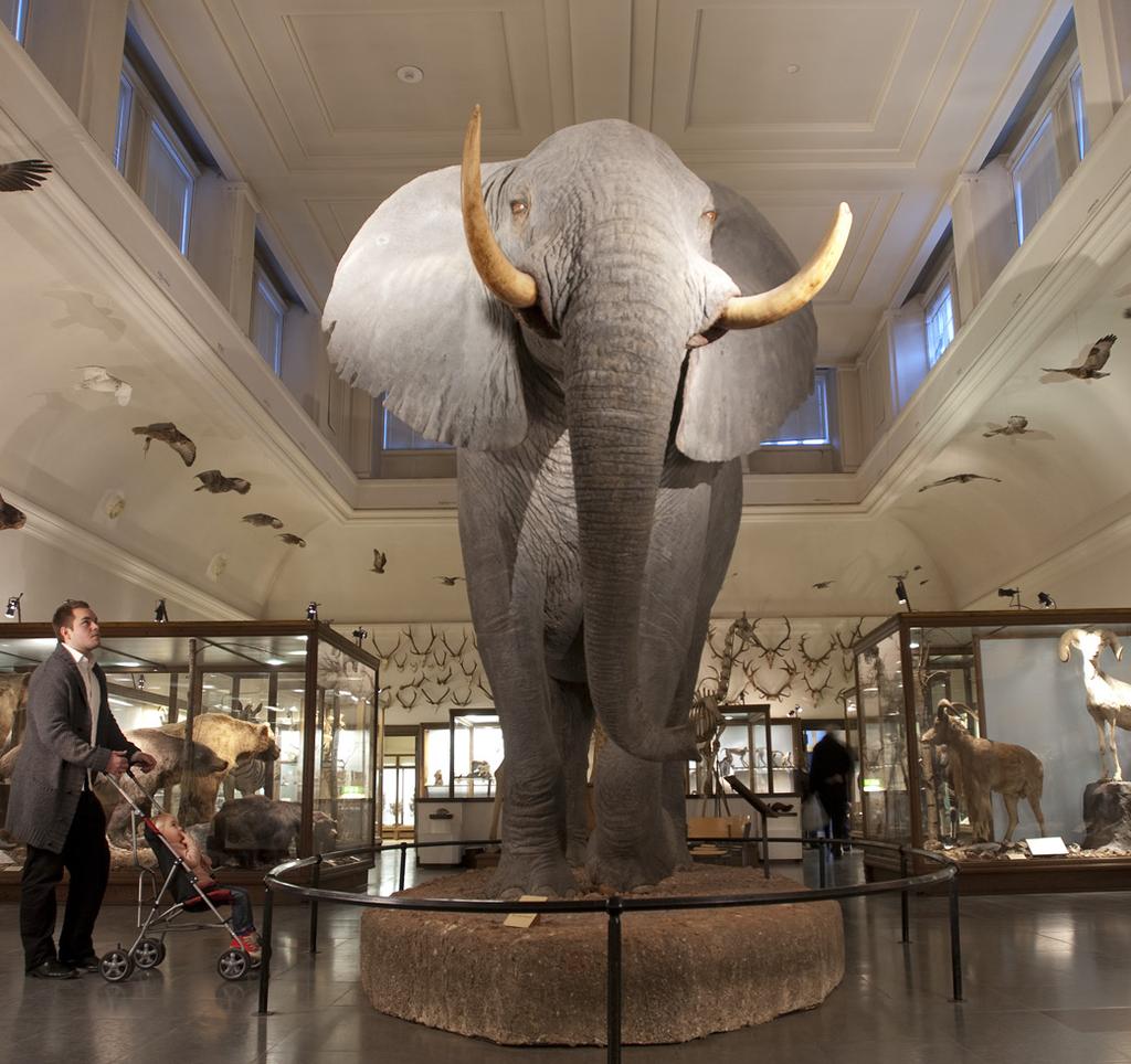 28 M U S E E R / M U S E U M S M U S E E R / M U S E U M S 29 GÖTEBORGS STADSMUSEUM Vill du uppleva historien är Stadsmuseet något för dig!