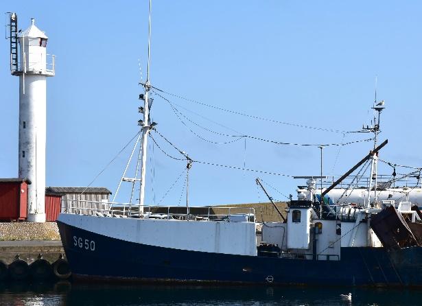 Fördelning av fiskemöjligheter, rättighetsbaserad förvaltning