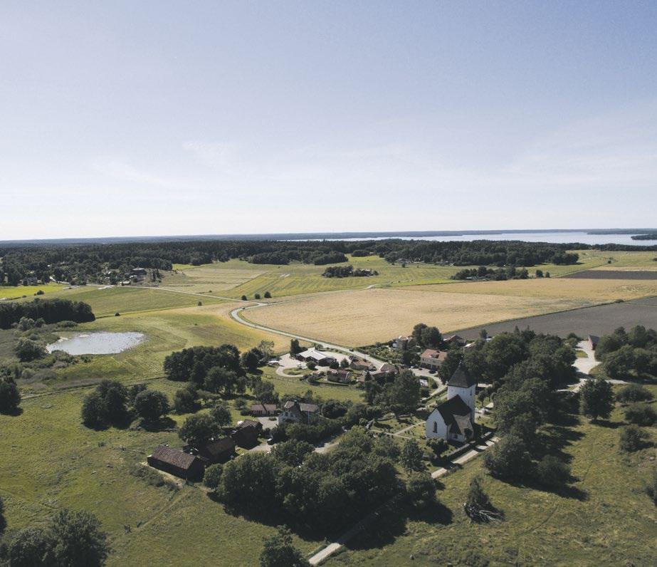 Det får helt enkelt bli en kapplöpning mellan huset och kyrkogården. Och vinner kyrkogården, kan jag glädjas åt att någon annan kan få njuta av det fina huset!