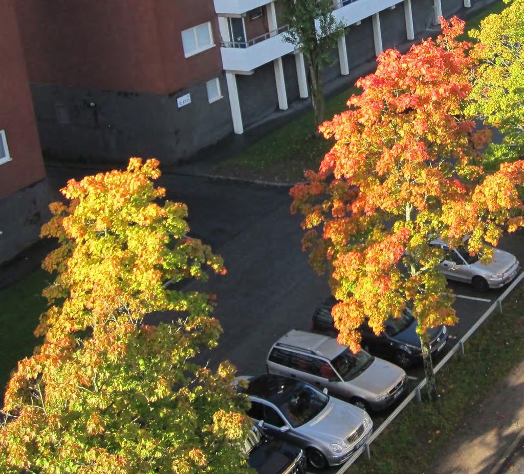 PLATSUTVECKLING Föreningen samarbetar med Trafikkontoret, stadsdelsförvaltningarna, polisen och enskilda medlemmar för att öka tryggheten på platser som identifierats som otrygga.