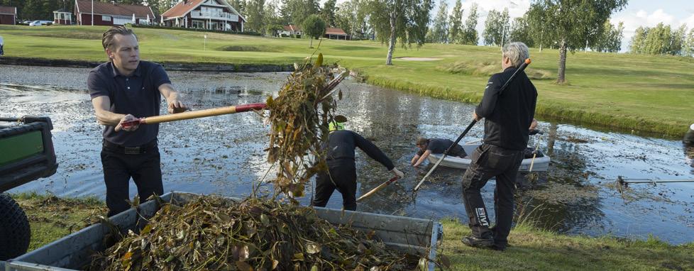 Ingen har någon vinning av att stressa fram en produkt. Hur sedan andra banor gör är upp till dem.