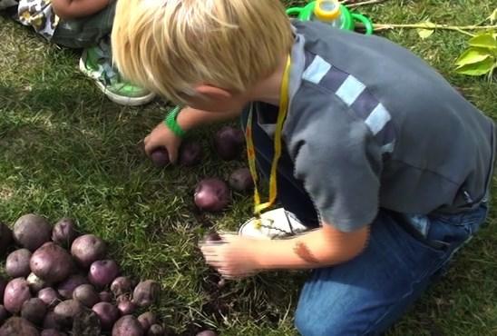 Exempel 7 Sekvens 7 i filmen "Matematiska aktiviteter" Emil räknar potatis: Emil: 25, 26, 27, 28 29 L: 30,. Emil: 30, 31, 32 och 36 L: 33 L: Vad var vi på nu då? vad var vi på?