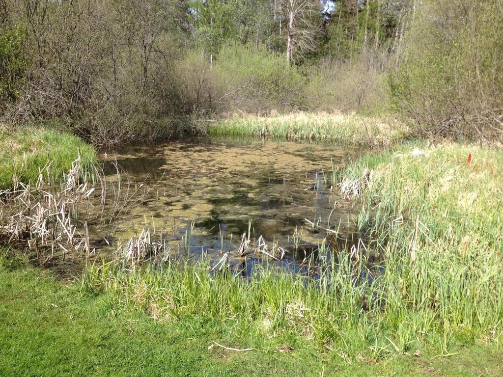 Påtagligt naturvärde naturvärdesklass 3