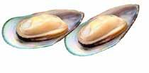 GRÖNLÄPPAD MUSSLA (Perna canaliculus) Innehåll av fettsyror C 14:0 Myristic Acid C 16:0 Palmitic Acid C 16:1 Palmitoleic Acid C 18.