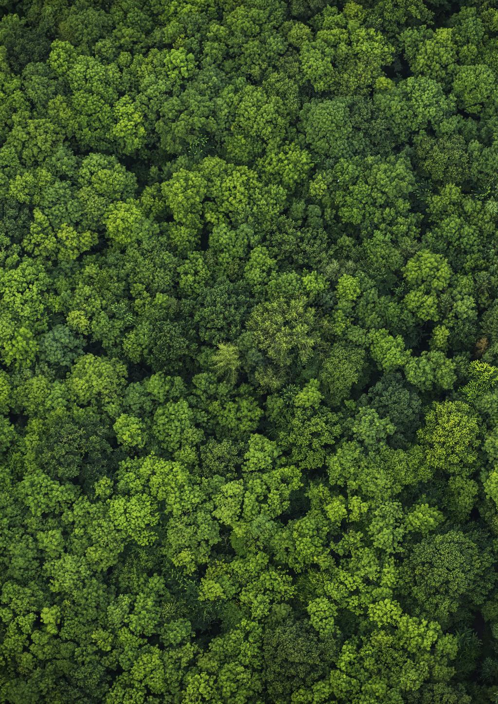 2016
