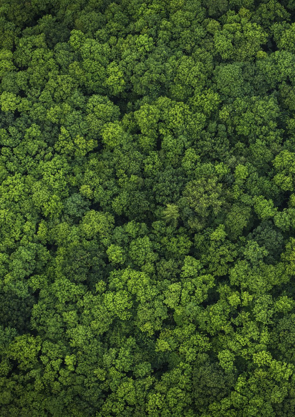 Flygtrafiken står idag för ungefär 2% av de globala koldioxidutsläppen. Fram till 2050 förväntas den globala luftfarten växa med 5% per år.