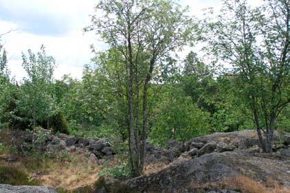 Topografi och fornlämningsmiljö Området utgörs huvudsakligen av exploaterad mark. Flera fornlämningar har i samband med exploateringarna under 1960-talet varit föremål för arkeologiska undersökningar.