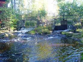 Lillån vid Vekhyttan Strömförhållande I Lillån är det vanligast med svagt strömmande förhållanden (figur 2).