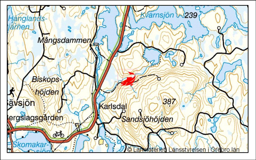 Mettjärnsbäcken, 138-501 Vid elfisket fångades 42 bäckrödingar, vilket utgör en skattad besättningstäthet av 88 bäckrödingar per 100 m 2.