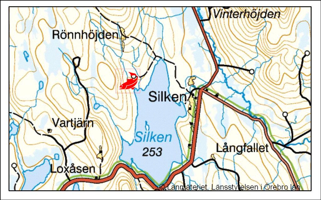 Elfiskestationen i Rönnhöjdsbäcken. Sirsjöbäcken, 138-245 Vid elfisket fångades 19 öringar, vilket utgör en skattad besättningstäthet av 24 öringar per 100 m 2. Vid fisket fångades även 1 gädda.